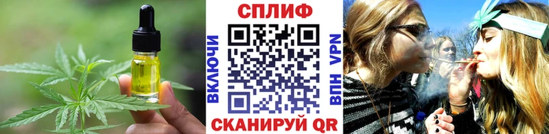 Cannafood конопля  Купить закладки  Алзамай 