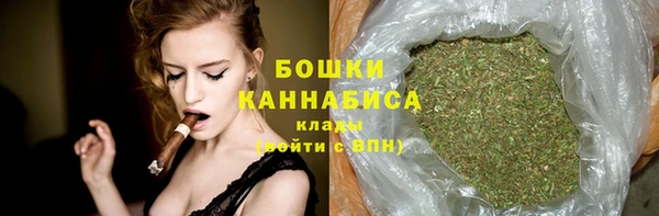 сатива Магас