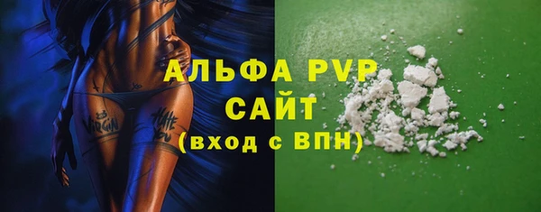 сатива Магас