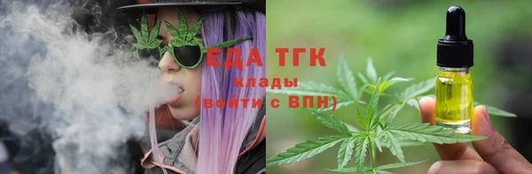 сатива Магас