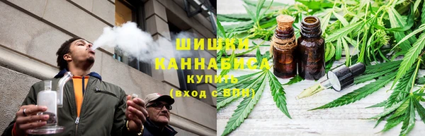 сатива Магас