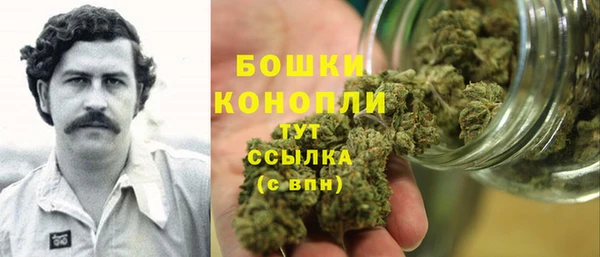 сатива Магас