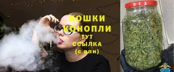 сатива Магас