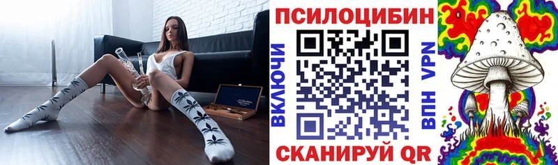 Псилоцибиновые грибы ЛСД  Купить закладки  Алзамай 