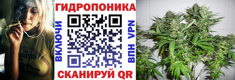 Каннабис MAZAR  Купить закладки  Алзамай 